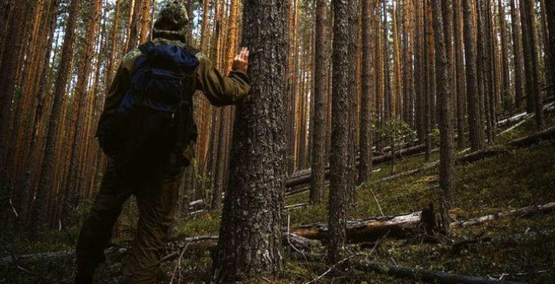 поиск пропавших людей